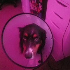 Too Much Is Going On Rn V2