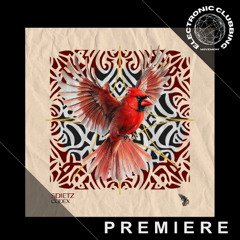 PREMIERE: Sdietz - Codex (Original Mix) [HarabeLab]