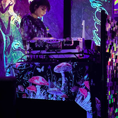 Meow Wolf Feb 13th
