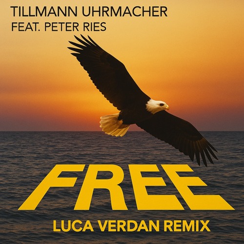 Tillmann Uhrmacher Feat. Peter Ries - Free (Luca Verdan Remix) Extended