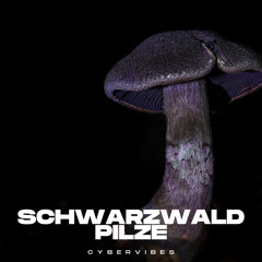 Schwarzwald Pilze