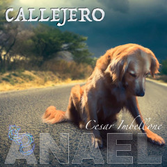 CALLEJERO