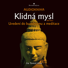 Rob Nairn: Každodenní cvičení (Tomáš Klus čte z knihy Klidná mysl)