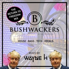 BUSHWACKERS RETURN TO FREEDOM PROMO MIX