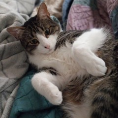 Slow33 - Some One You Loved (cover)