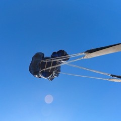 Baby Shark (Drum and Bass Mix)