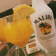 Malibu Moment