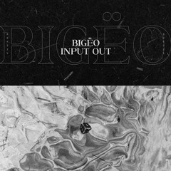 Bigëo - Input Out