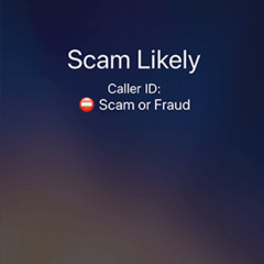 Scam Likely-Leek feat jwetjumper x Z trollin