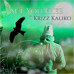 Set You Free Ft. Krizz Kaliko