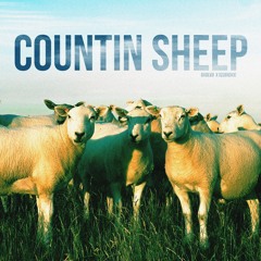 COUNTIN SHEEP FEAT. ISSBROKIE