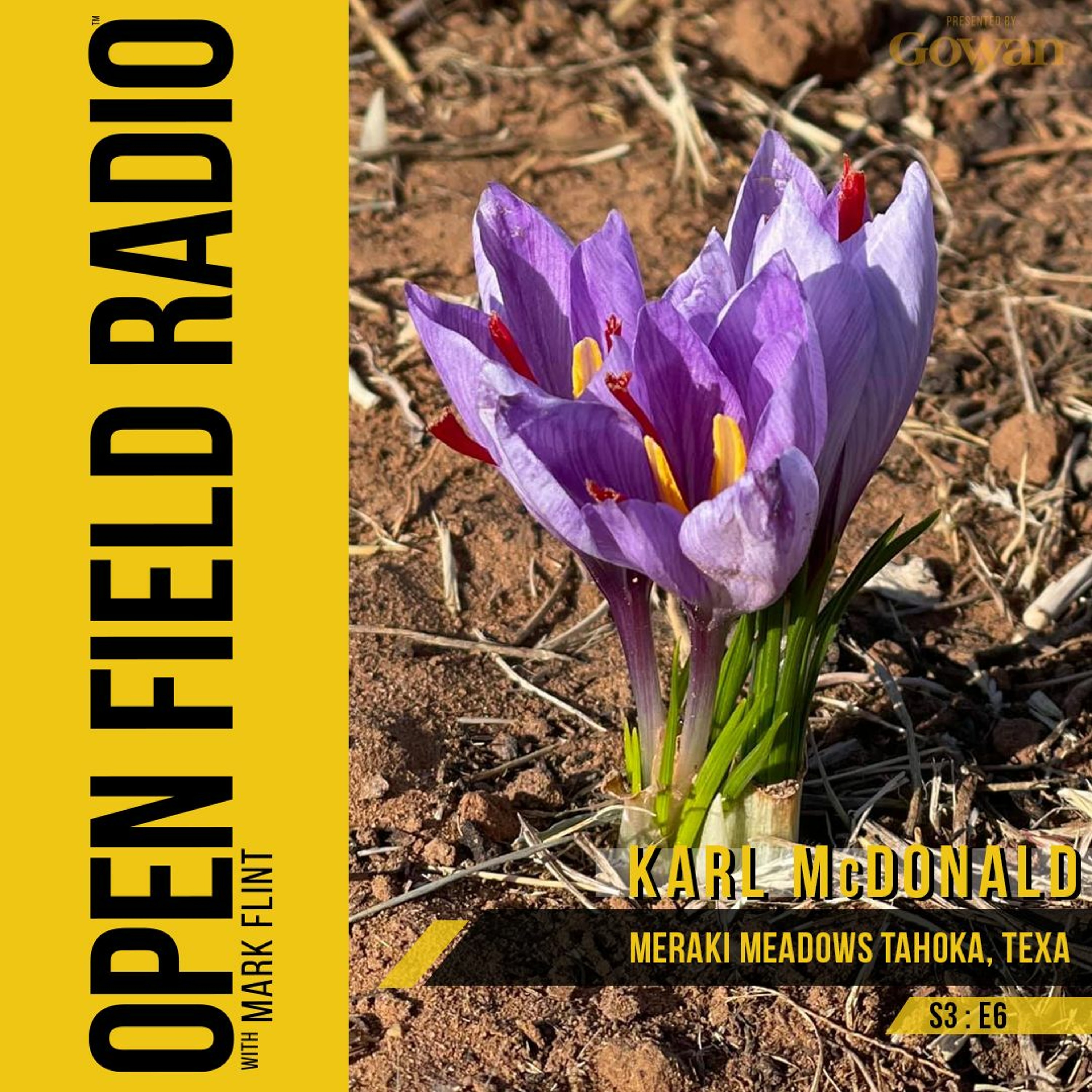 "I'm just mad about saffron. Saffron' s mad about me." Karl McDonald Saffron Farmer Tahoka, TX