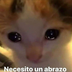 te juro no lo quise hacer