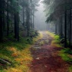 INSTAGRAM FREESTYLE [Prod Jake Affrunti]