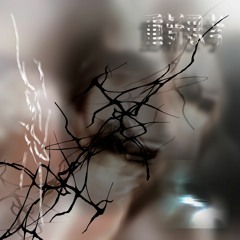 hard 硬 2 realiize