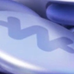호미들 플리