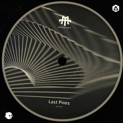 💥 premiere:  Last Pines - Nocturnal [Modeight]