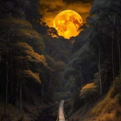 Bassko in session Nskool Retrobreakz.mp3