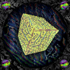 Mix 10: Parallel Life