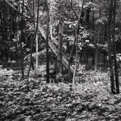 basic foundation mix IV