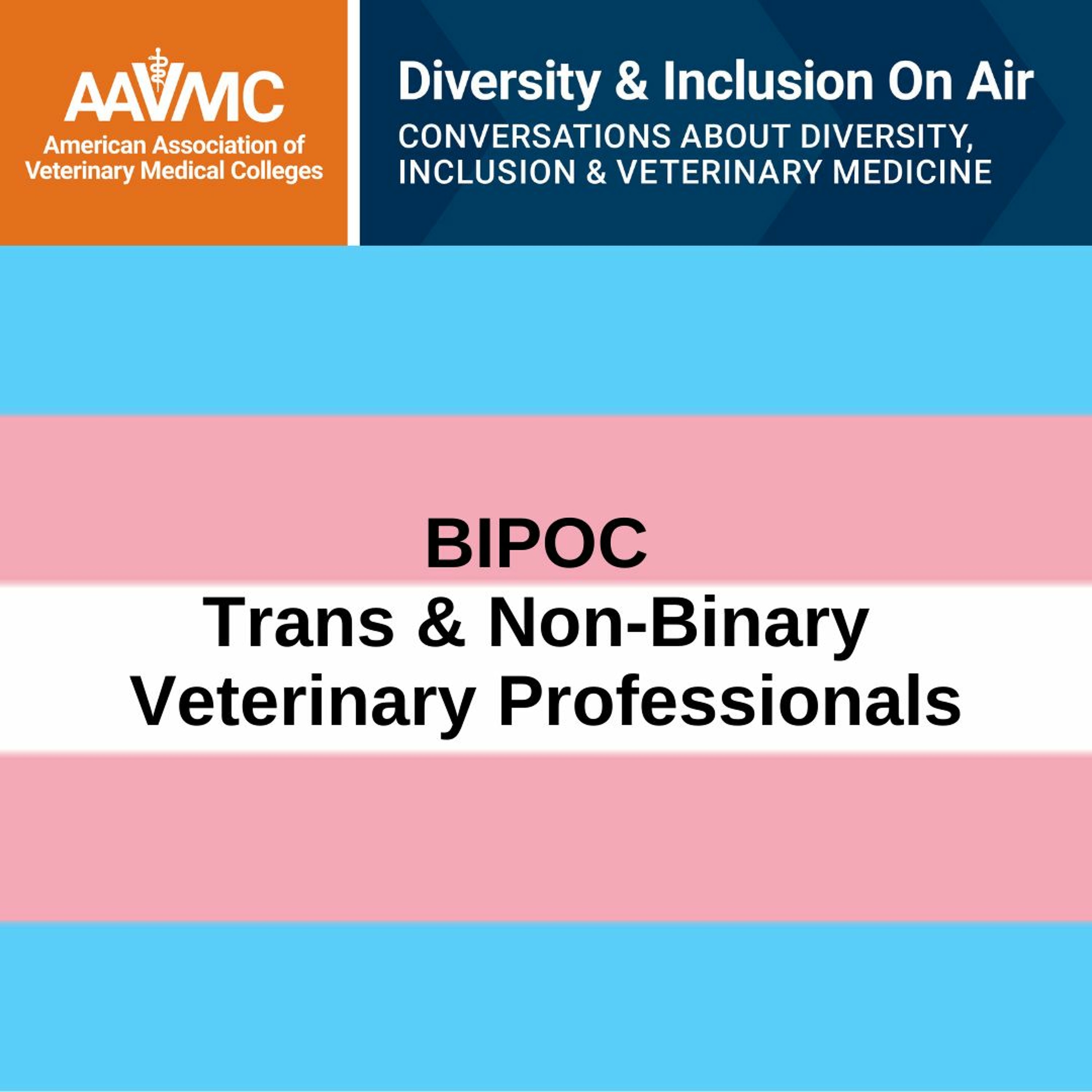AAVMC\'s On Air: Conversations about Issues in Veterinary Medicine