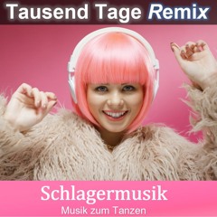 Tausend Tage Remix