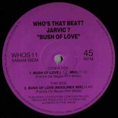 Jarvic 7 - Bush Of Love (pitch +2 Mix)