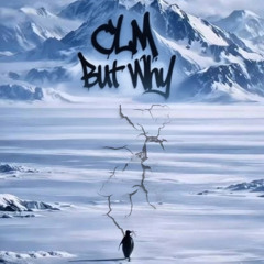 BUT WHY (Super Slowed)