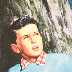 a hardy boys mystery