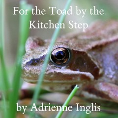 For the Toad by the Kitchen Step by Adrienne Inglis November 14, 2021