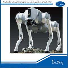 Chinese Ai Robot Dog - Supplier in China