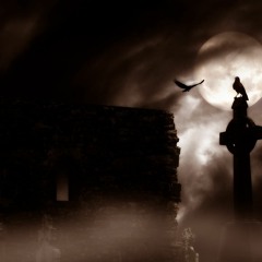 Veritatem Quaere et Insaniam Inveni