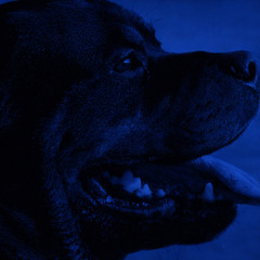 Overmono - Paradise Runner (Opposite Remix)