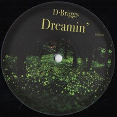 DSR029 / D Briggs - Dreamin'