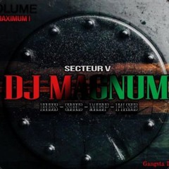Dj MaGnuM (_RBS_SRC_MGP_) - LaMaG BiirThDaYz M.G.X (_MARS 2012 SpÃ©CiaL MaGnuM AniVerSaiRe_)