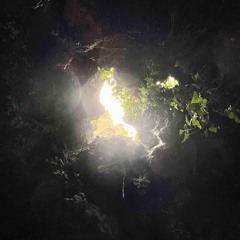 playboi carti no sleep reprod me