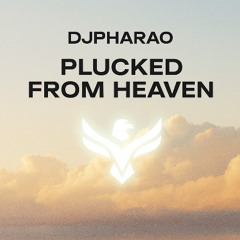 PLUCKED FROM  HEAVEN