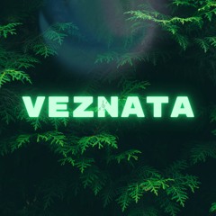 VEZNATA - BLURB