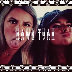HAWK TUAH (feat. youngfever)
