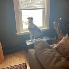 Waynesboro Thrift Shop