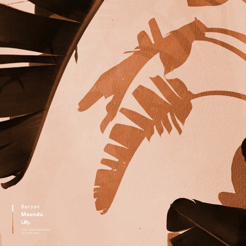 Banyan - Maundu