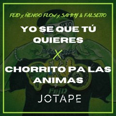 Feid, Ñengo Flow - Yo Se Que Tú Quieres x Chorrito Pa Las Animas (Jotape Mashup) [FREE DOWNLOAD]