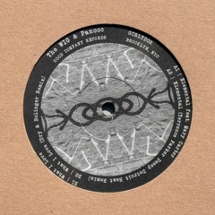 A2 - The WIG & Panooc 'Elemental' feat. Mary Carter (Terrence Parker Deeep Detroit Heat Remix)