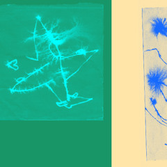 FLIPPEN BITS 010: Monty DJ - Flight incl. Retromigration Remix