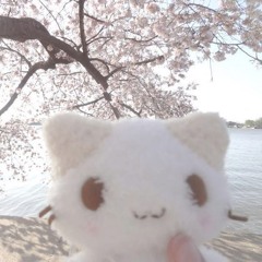 мысли о тебе