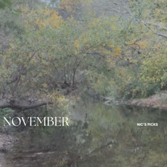 Nic's Picks | November 2025