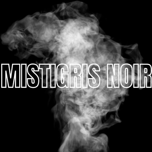 Mistigris noir feat. M.B