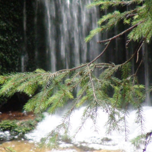 Tête à Tête InThext Music Products