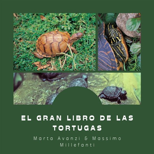 Stream episode [#Podcast] El gran libro de las tortugas - The great book of  turtles by Devecchi Ediciones podcast | Listen online for free on SoundCloud