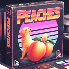 Peaches - Boys Wanna Be Her (Techno Edit) [Free DL]